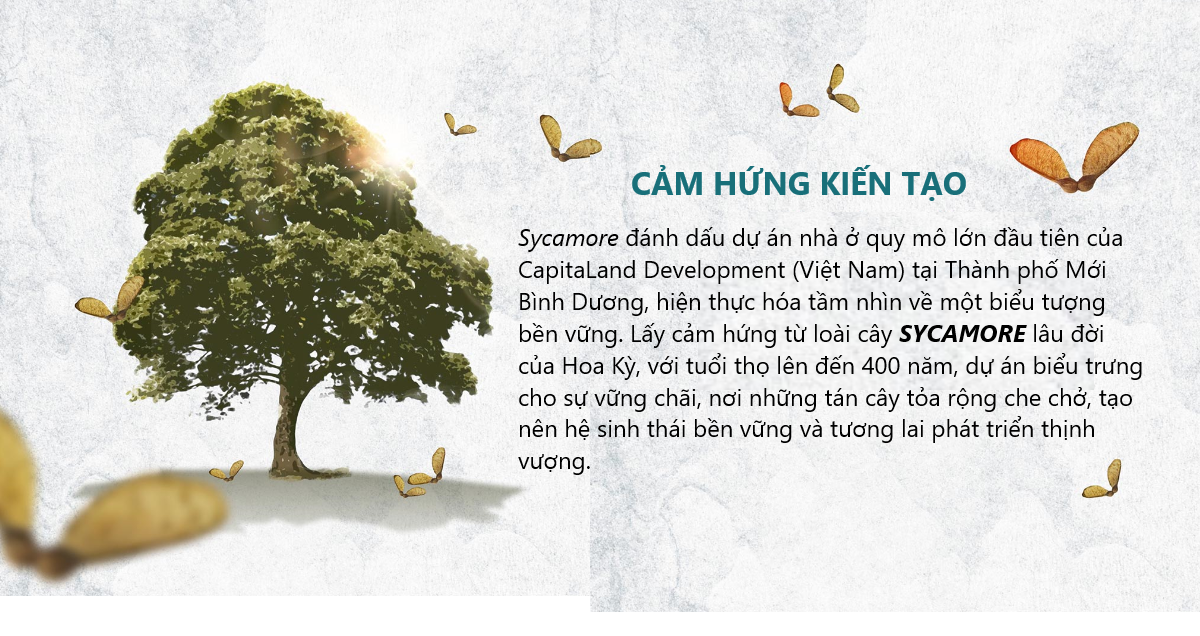 Nguồn Cảm Hứng Kiến Tạo Nên Sycamore Bình Dương