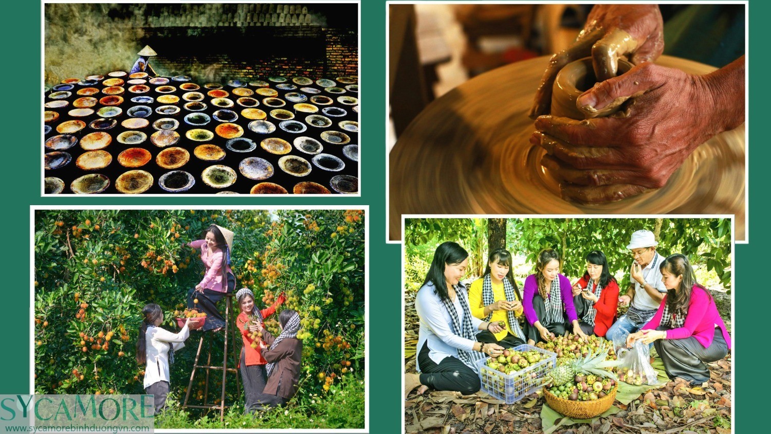 Cảm Hứng Thiết Kế The Emerald Garden View